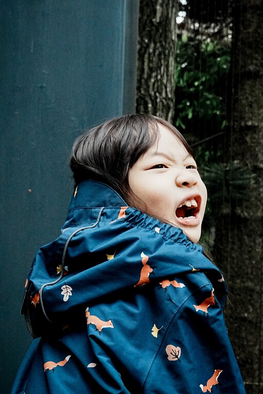 投稿作品 小狐狸的驚聲尖叫